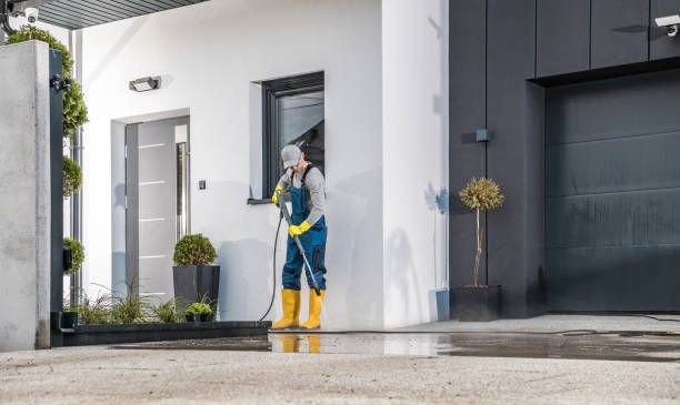 Animal Enclosure Cleaning in Elmendorf, TX